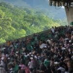 pelea barras Atlético Nacional